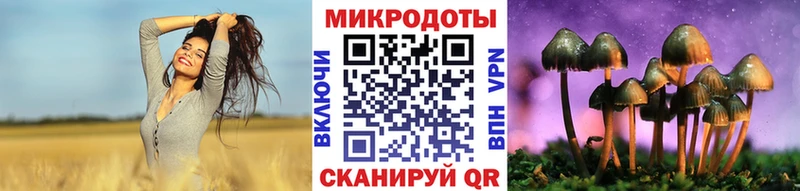 Галлюциногенные грибы Magic Shrooms  Купить где  Подпорожье 